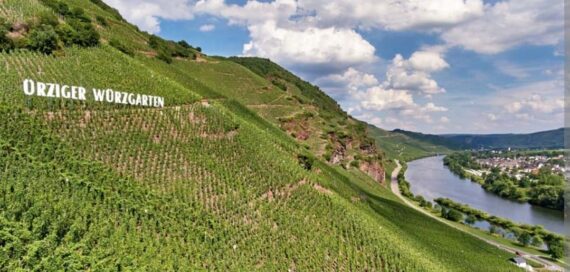 c5e34a9f-b7c8-4bd0-a8d6-d3d71c9413bc